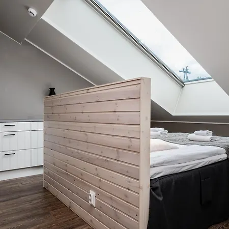 Golden Kero Peak Penthouse By Hilla Appartement Pyhätunturi